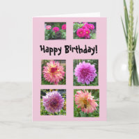 Rosa Dahlien zum Geburtstag!