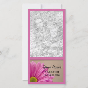 Rosa Daisy Abschluss Ankündigung Foto-Karte