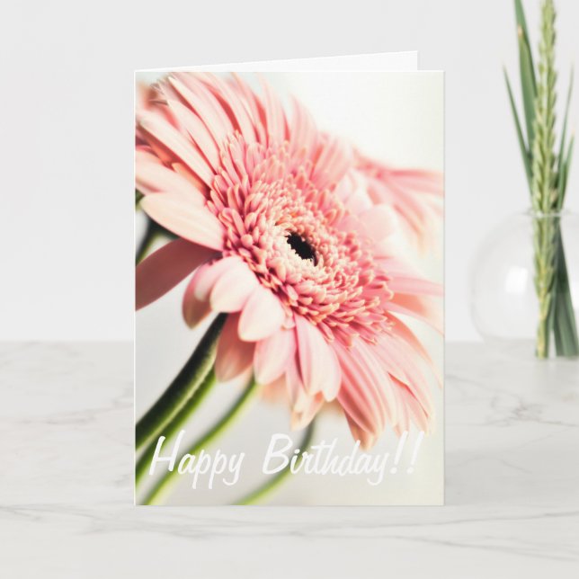 Rosa Daisy Birthday Card Karte (Vorderseite)