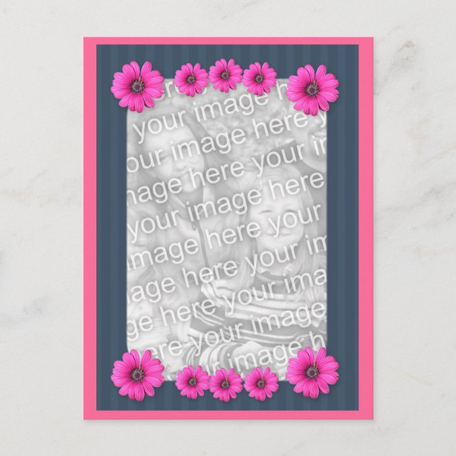 Rosa Daisy Blume Foto Postkarte (Vorderseite)
