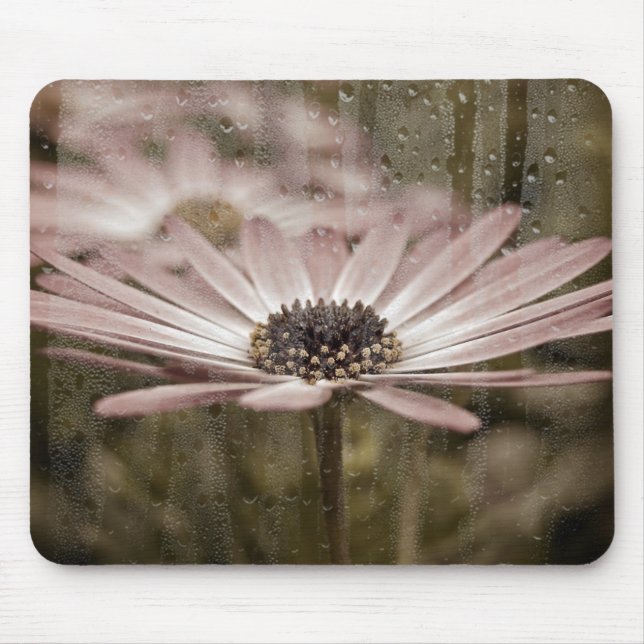 Rosa Daisy mit Regen am Fenster Mousepad (Vorne)