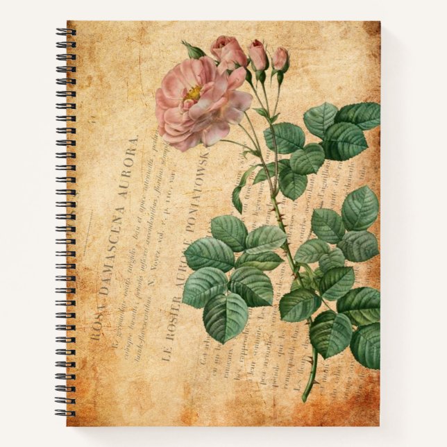 Rosa Damascena Notizbuch (Vorderseite)