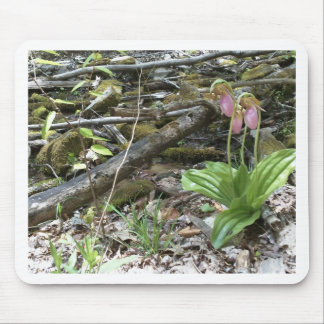 Rosa-Damenschuh Mousepad