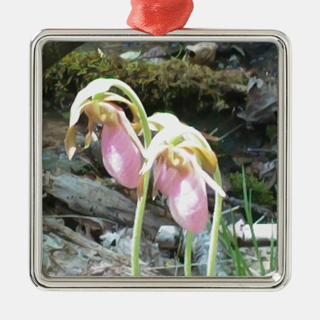 Rosa Damenschuh Orchid Silbernes Ornament (Vorne)