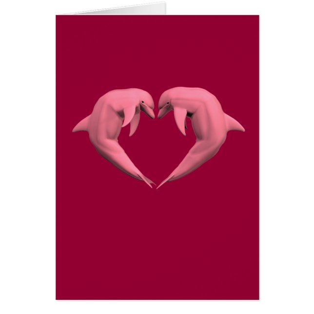 Rosa Delphine (Vorne)