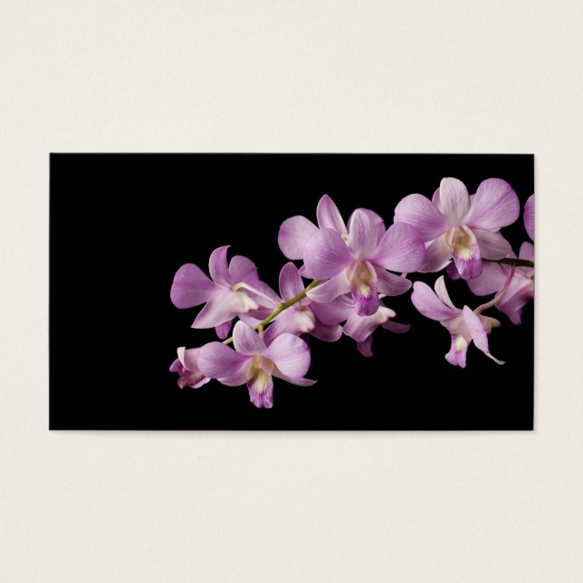 Rosa Dendrobium Orchid Blume auf Schwarz - Orchide (Vorderseite)