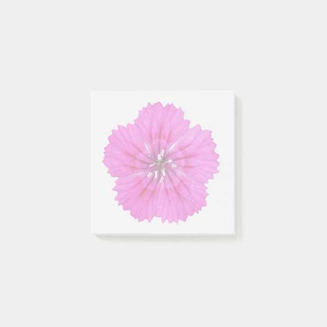 Rosa Dianthus Haftnotizen Post-it Klebezettel (Vorderseite)