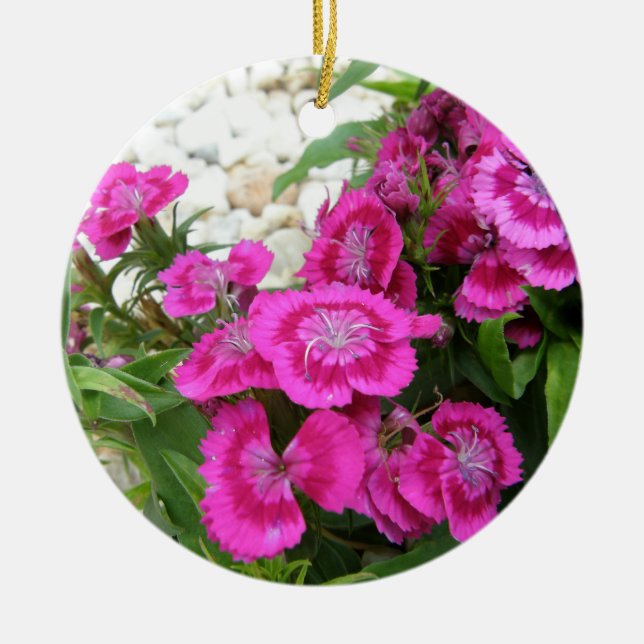Rosa Dianthus/süßer William Keramik Ornament (Vorne)