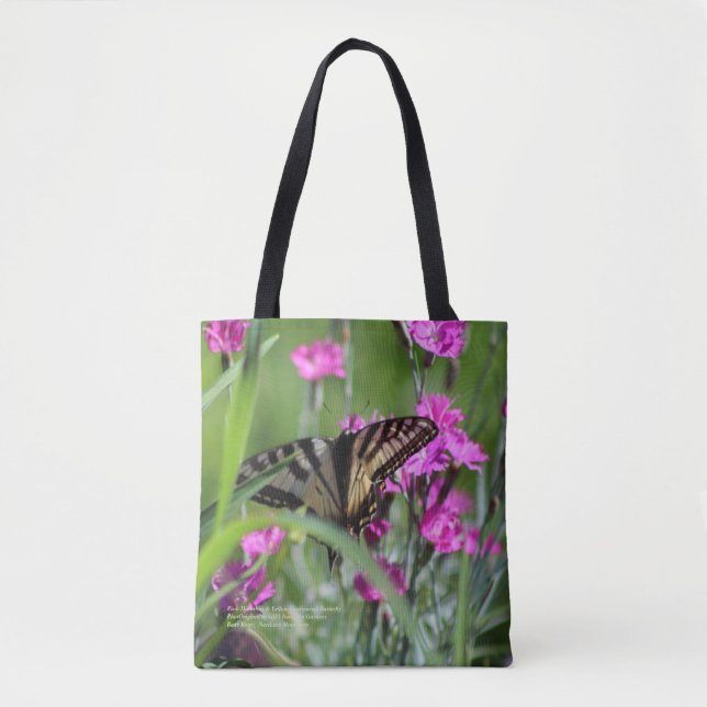 Rosa Dianthus u. gelber Frack-Schmetterling (Vorderseite)