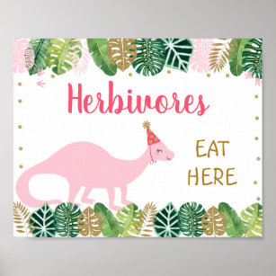 Rosa Dinosaurier Herbivores Geburtstagsschild Poster