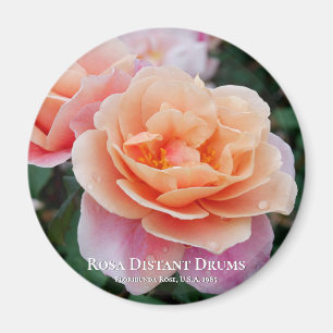 Rosa Distant Drums Magnet