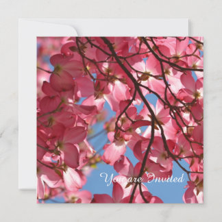 Rosa Dogwood-Blume Geburtstag Einladung