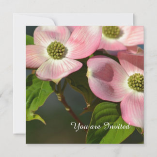 Rosa Dogwood-Blume Geburtstag Einladung