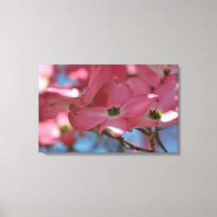 Rosa Dogwood-Blume Leinwanddruck