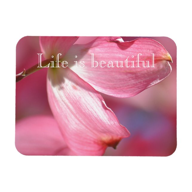Rosa Dogwood-Blume Magnet (Horizontal)