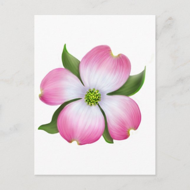 Rosa Dogwood Blume Postkarte (Vorderseite)