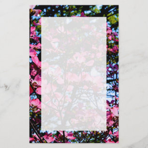 Rosa Dogwood-Blumen Briefpapier