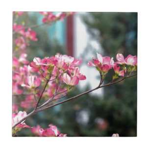 Rosa Dogwood Fliese