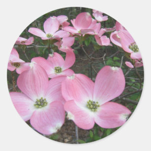 Rosa Dogwood Runder Aufkleber