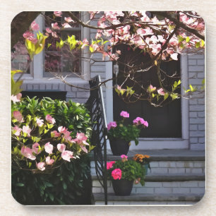 Rosa Dogwood und Pots of Geraniums Getränkeuntersetzer