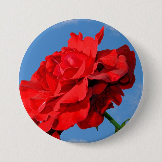 Rosa Don Juan Rose mit blauem Himmel Button (Vorderseite)