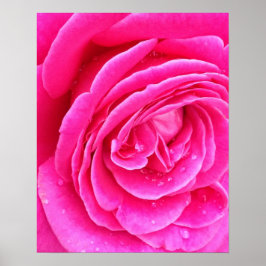 Rosa Droplets Poster