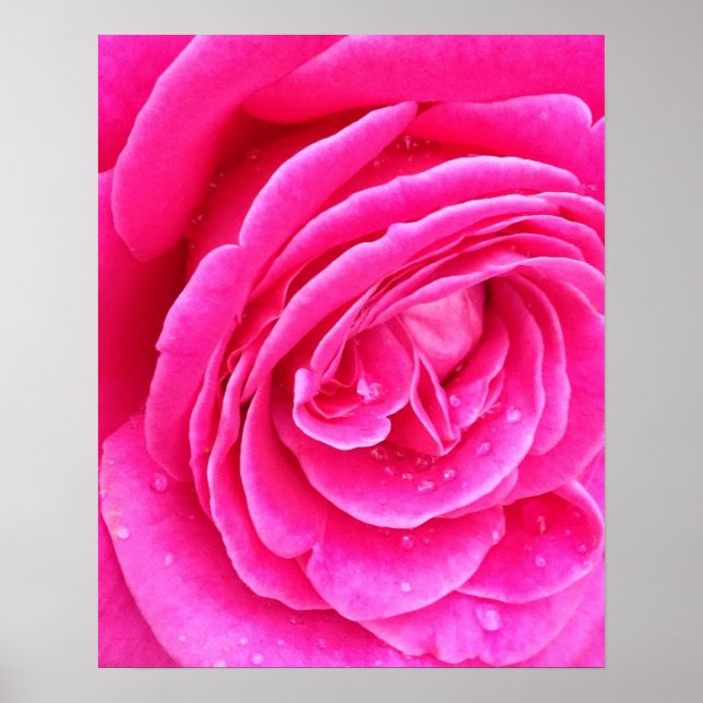 Rosa Droplets Poster (Vorne)