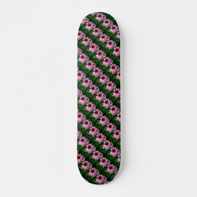 Rosa Echinacea-Blume auf der grünen Skateboard (Vorne)