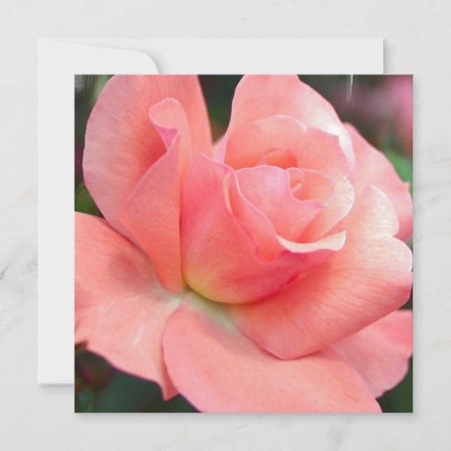 Rosa Einladungen (Vorderseite)