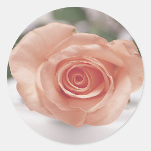 Rosa Einladungskleber Runder Aufkleber