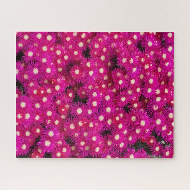 Rosa Eis Pflanze Blume Hintergrund Puzzle (Horizontal)