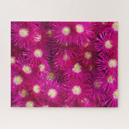 Rosa Eis Pflanze Blume Puzzle