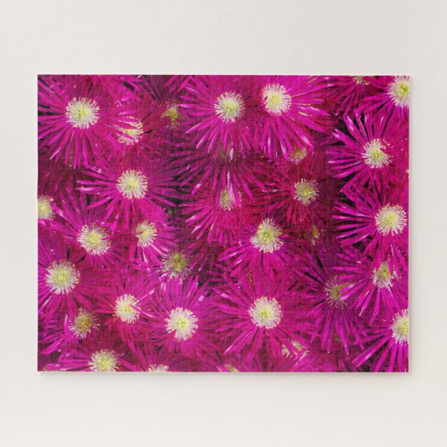 Rosa Eis Pflanze Blume Puzzle (Horizontal)