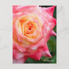 Rosa Elegant Lady [Postcard] Postkarte