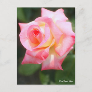 Rosa Elegant Lady [Postcard] Postkarte
