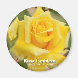 Rosa Emblem Magnet