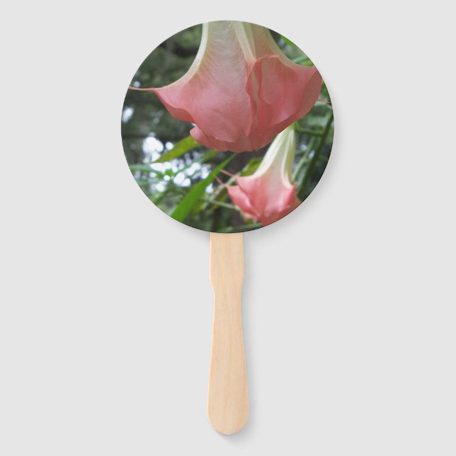 Rosa Engel Trompete Blume Fächer (Vorderseite)