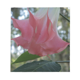 Rosa Engel Trompete Blume Notizblock