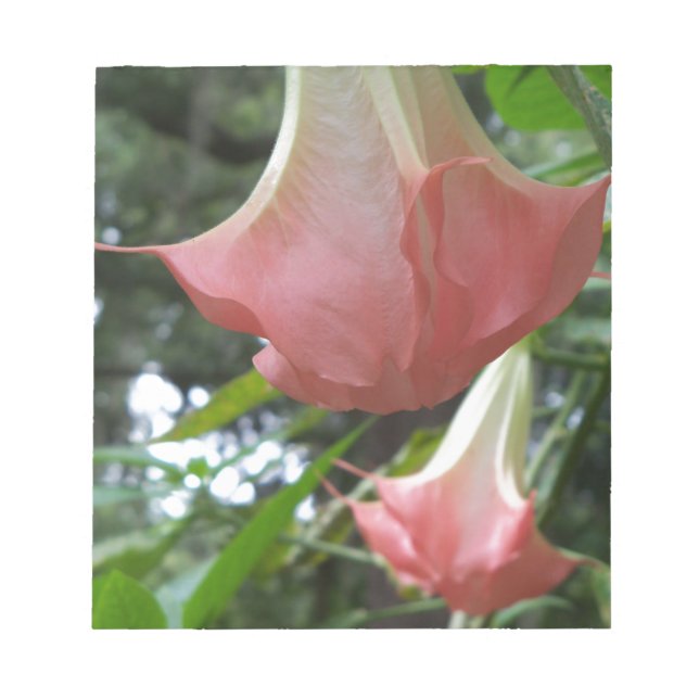 Rosa Engel Trompete Blume Notizblock (Vorderseite)