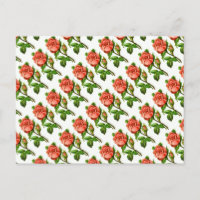 Rosa Englische Rose Postkarte
