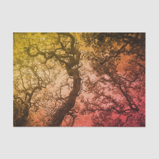 Rosa erröten Bäume Seidenpapier (Vorderseite)