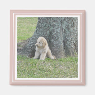 Rosa Erstellen Sie Ihr eigenes Personalisiertes Fo Magnet