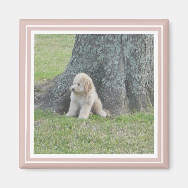 Rosa Erstellen Sie Ihr eigenes Personalisiertes Fo Magnet (Vorne)