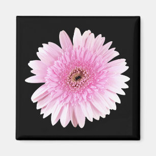 Rosa-Explosion Magnet