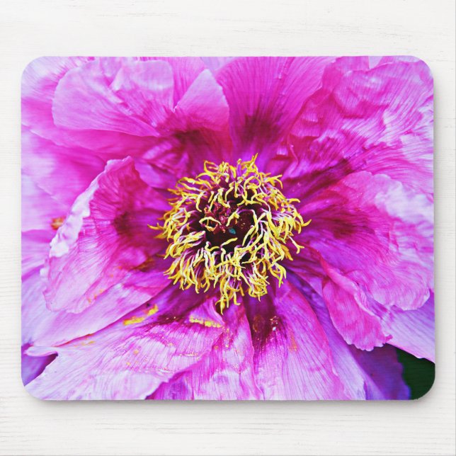 Rosa Explosion Mousepad (Vorne)