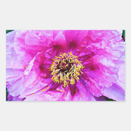 Rosa Explosion Rechteckiger Aufkleber