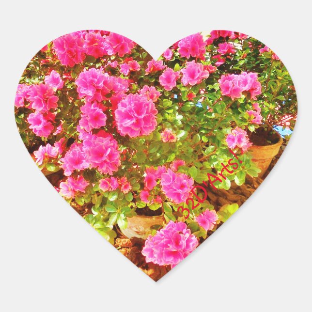 Rosa Extravaganza, Aufkleber des Herzens, Glossy (Vorderseite)