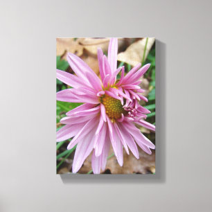 Rosa Farbe! Leinwanddruck