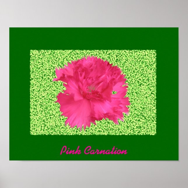 rosa Farbe Poster (Vorne)