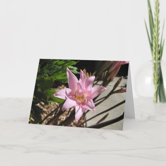 Rosa Feiertagskarte (Vorderseite)